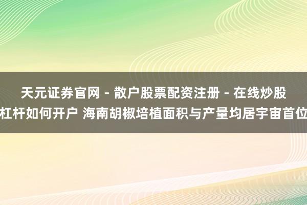 天元证券官网 - 散户股票配资注册 - 在线炒股杠杆如何开户 海南胡椒培植面积与产量均居宇宙首位